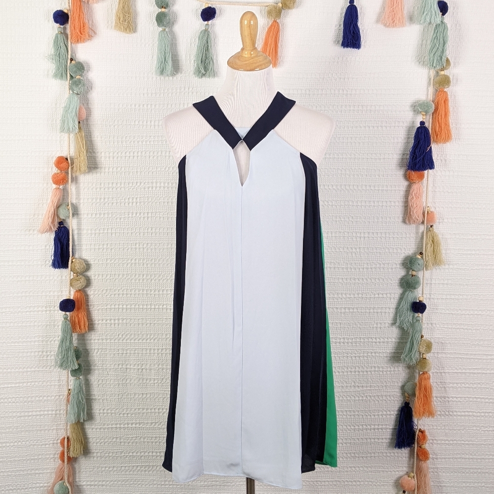 BCBG Max Azria Color Block Dress